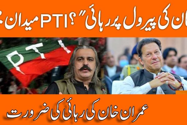 Ali Amin Gandapur Seeks Best Imran Khan Parole Amid Rising India-Pakistan Tensions 2025
