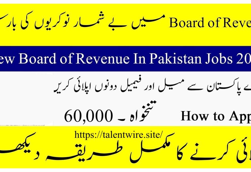 Board of Revenue Punjab Career Opportunities 2025 Online Application Open