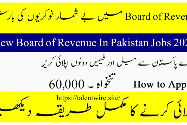 Board of Revenue Punjab Career Opportunities 2025 Online Application Open