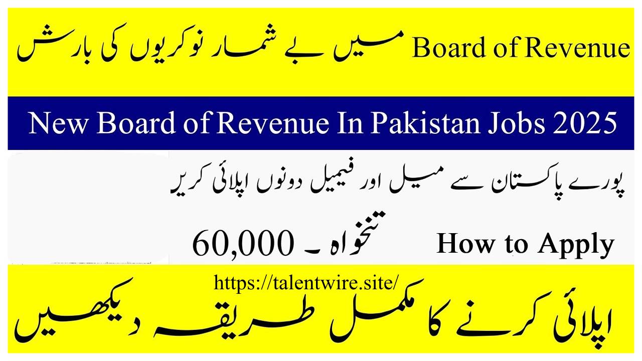 Board of Revenue Punjab Career Opportunities 2025 Online Application Open